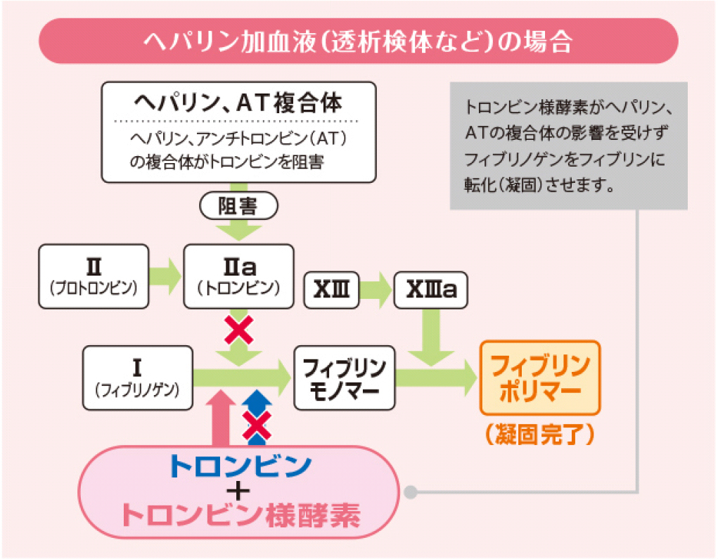 ユーザが追加した画像