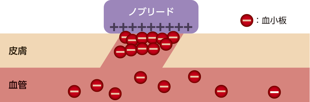 ユーザが追加した画像