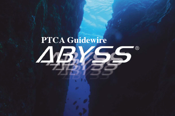 PTCA用ガイドワイヤの写真